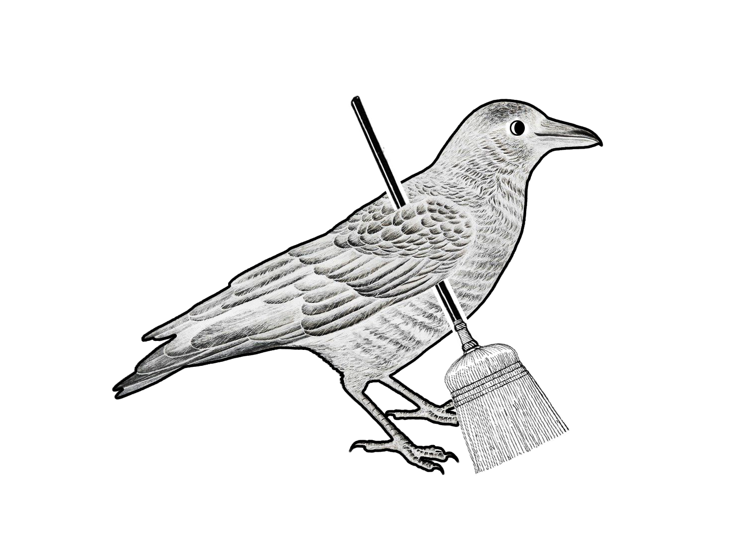 Different Bird Cleaning